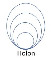 holon