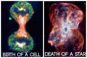 birth of cell, death of star