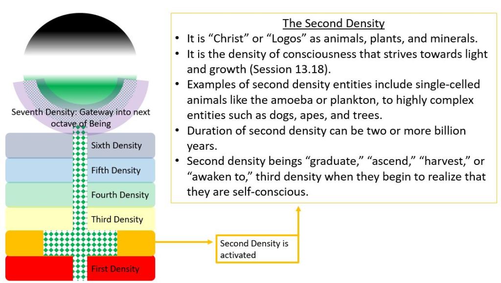 Law of One Graphics, Intro: Densities – Building 4th Cosmic Christ