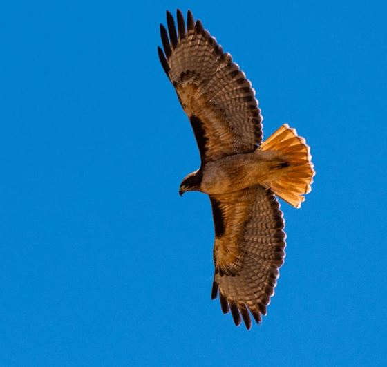 Synchronicities: Stories and&nbsp;Meaning