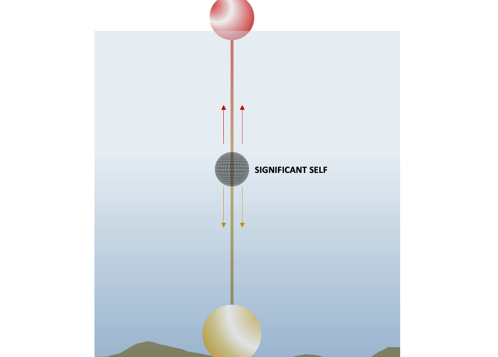 The Tripolar Self: A Rohrian Psychospiritual Framework for&nbsp;Transformation