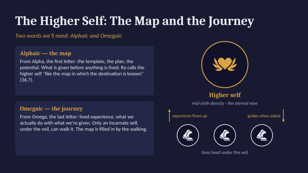 Alphaic as the map, Omegaic as the journey; lives feed the higher self.